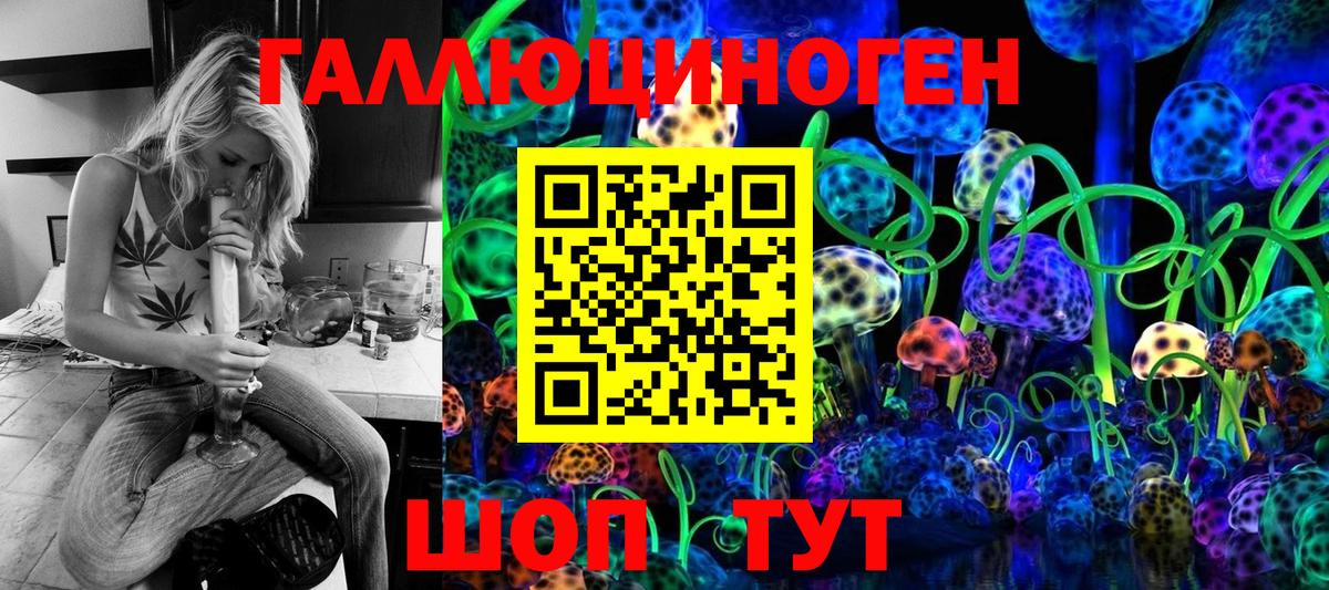 Галлюциногенные грибы Psilocybe Сыктывкар
