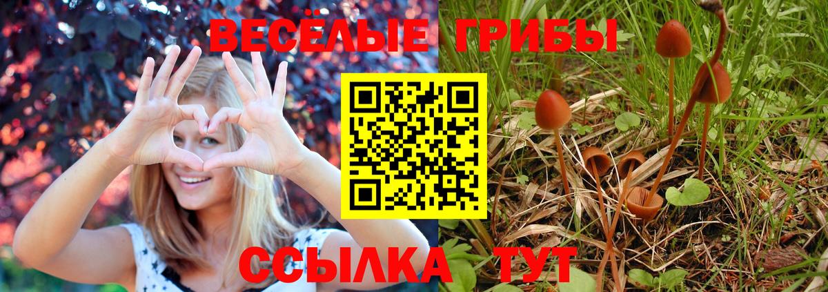 Сыктывкар  Галлюциногенные грибы Magic Shrooms  Вход с VPN  Псилоцибиновые грибы GOLDEN TEACHER 